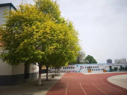 逯家寨学校校园文化九年生命在这里成长青春在这里飞扬