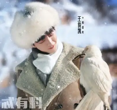 天坑鹰猎马殿臣的真实身份是什么人马殿臣的历史原型是谁
