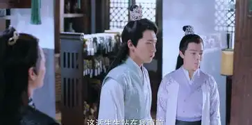 双世宠妃2第11集分集剧情电视剧
