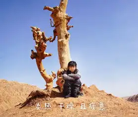 将夜2剧组火焰山奋战,郑少秋令人敬佩,宋伊人晒成小黑狗