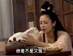 春光灿烂猪八戒截图
