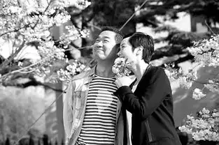 中国家庭剧呼唤温情表达和生活智慧