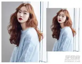 奶酪陷阱金高银狗毛发型萌出新高度