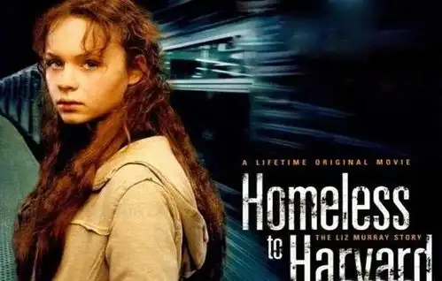 风雨哈佛路主要的精神