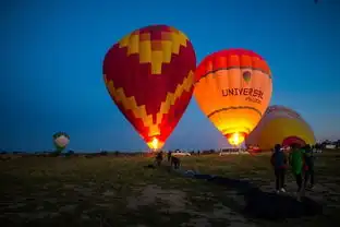 我的飞屋环游记格雷梅篇