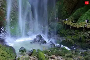 9月6日长江三峡超五星豪华游轮武隆一动一飞六日游世纪天子