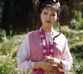 白先勇评红楼女子林黛玉薛宝钗花袭人秦可卿
