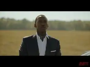 第91届奥斯卡金像奖颁奖,波西米亚狂想曲成最大赢家
