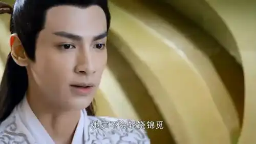 香蜜沉沉烬如霜殿下担心锦觅回去受罚,想要去陪,网友说你是谁啊
