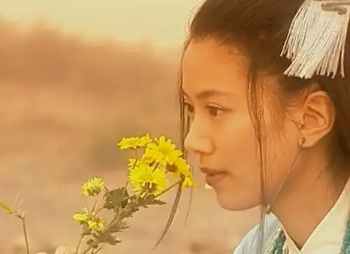 袁咏仪笑傲江湖