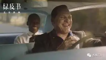 杏林之声绿皮书你看起来像是个爱吃炸鸡的人
