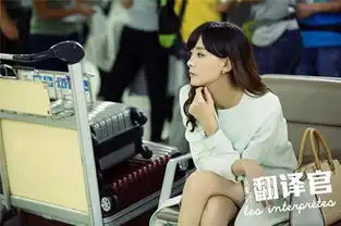 翻译官热播周奇奇雪山冒寒拍戏
