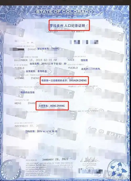 张恒自爆有两个孩子,出生证明实锤母亲是郑爽,郑爽曾计划冻卵
