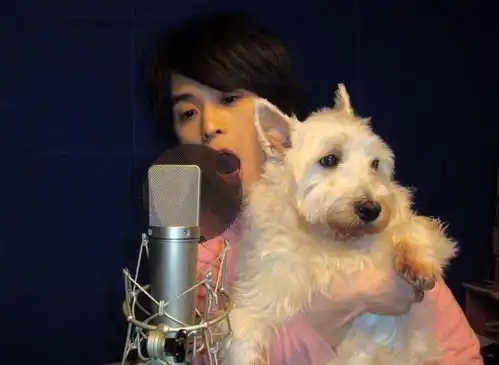 妖猫传杨贵妃艳惊四座,戏外她有个娃娃脸爱她的好丈夫