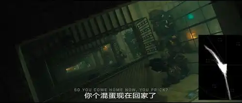 赏析银翼杀手2049二级调色
