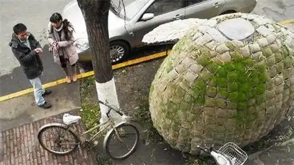 大学蜗居百态只想找个地方住