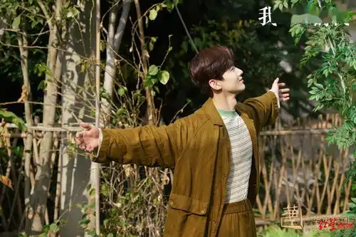 因为有家导演吕行谭松韵白敬亭打造剧版向往的生活