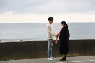 任意依恋新剧照发布金宇彬秀智海边相拥