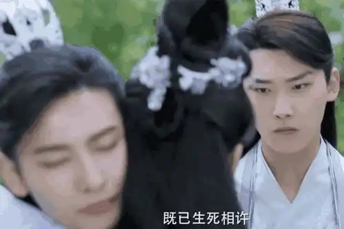 双世宠妃2八王爷遇新情敌再次开启花式撩妻模式
