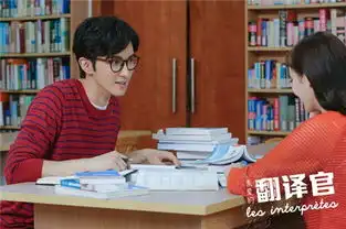 翻译官主演剧照定妆照图片翻译官主演人员剧照
