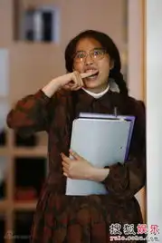 丑女无敌引发讨论山寨美剧成网络新词