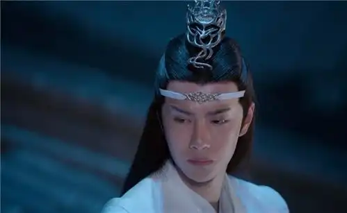 陈情令蓝忘机对十六年前的魏无羡是不完全信任的,终究是遗憾