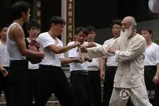 李小龙传奇收视创新高超越亮剑
