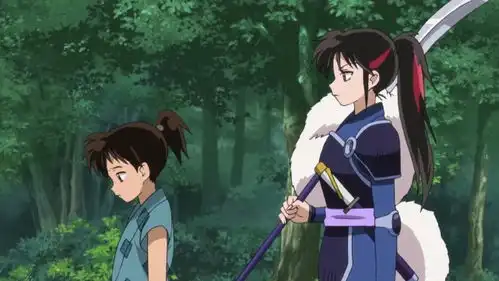 半妖的夜叉姬口碑下滑,犬夜叉的播放量却猛增,这是怎么回事