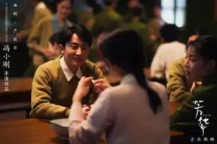 电影芳华上映12天破9亿
