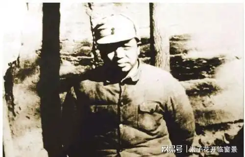 彭总紧急回京,汇报一次工作,发一次大火,聂帅安排一次特殊会见