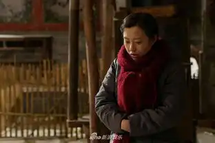 组图情满四合院研讨会刘家成导演获众多专家点赞
