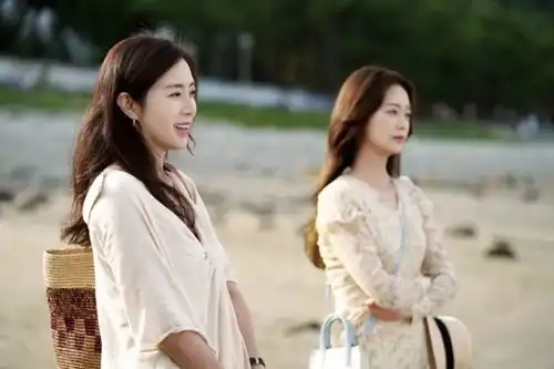 橱窗女王之家韩善珠与尹美拉第一次见面剧照更新
