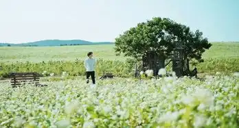 鬼怪韩剧中有哪些令人惊艳的场景
