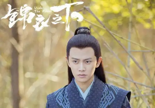 任嘉伦入选第七届中国电视好演员提名,可喜可贺实至名归