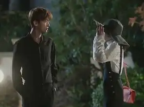 夏至未至电视剧结局圆满傅小司立夏陆之昂统统收获幸福