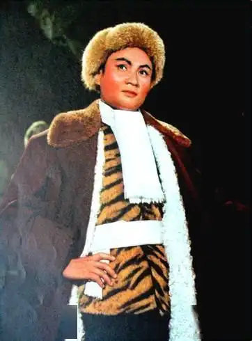 样板戏智取威虎山经典剧照海报宣传画集锦