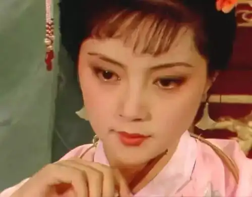 琵琶悲情宝钗纵然举案齐眉,到底意难平
