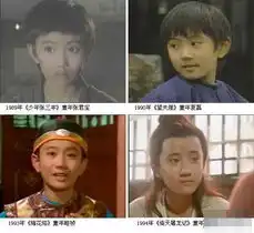 宋祖英谢娜那英赵本山陈道明明星跑龙套剧照