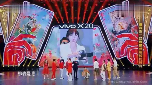 节目组大屏幕放众星最想毁的照片,柳岩和宋小宝照片一出憋不住了