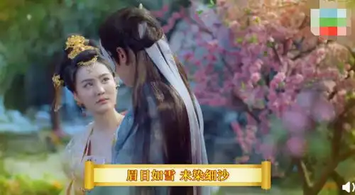 长相守花锦绣生下双胞胎不自知,垂帘听政引来杀身之祸