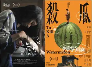 有一大批中国独立电影入围了西宁影展,它们成功了第一步
