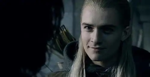 快去看指环王,再不看就没了
