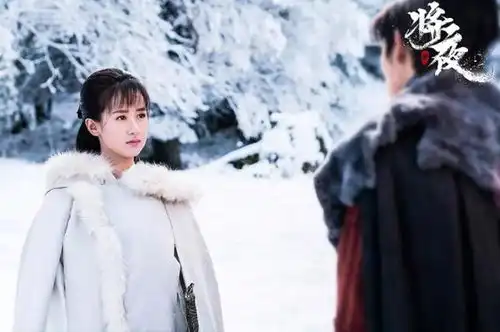 破10亿的4部热播剧将夜11.4亿,宠妃221.6亿,它破50