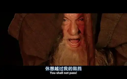 指环王2双塔奇兵
