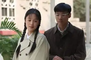 金婚风雨情剧照