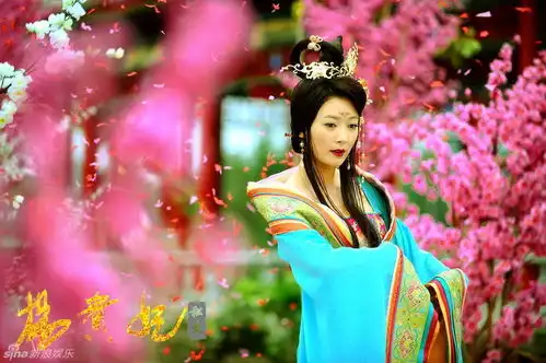 杨贵妃秘史美女谱剧照揭秘历史原型8

