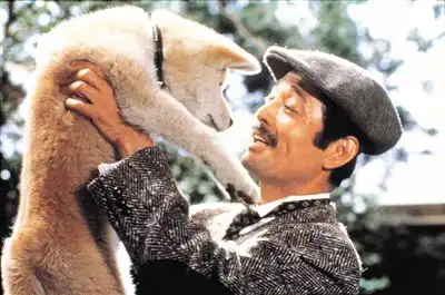 翻拍想收获口碑票房离不开本土化创新