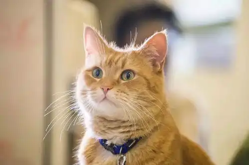 低价观影快来get一下,家里没矿,也能随心所欲看电影