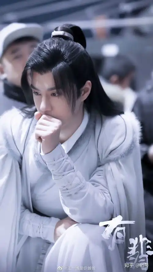 赵丽颖搭档王一博出演电视剧有翡会在2020年大爆吗
