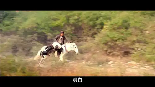 姜文拍让子弹飞是细到每个镜头的全部元素吗还是有穿帮镜头
